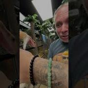 My Pet Snake Jimmy Is NOT Happy