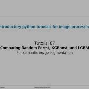 Tutorial 87 Comparing Random Forest XGBoost And LGBM For Semantic Image Segmentation