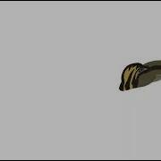 Eating Test Mp4