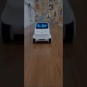 I Bought Codey Rocky Robot