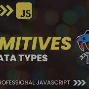 JavaScript Primitive Data Types And Values