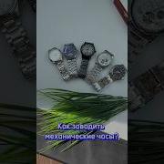 КАК ЗАВОДИТЬ МЕХАНИЧЕСКИЕ ЧАСЫ Shorts часы товарка опт авито товарныйбизнес продажи оптом
