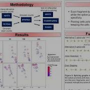 Detecting Differential Splicing From Smart Seq2 Based Jelard Aquino RSG RSGDREAM 2022