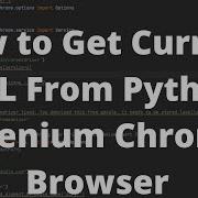 Python Selenium Tutorial 7 How To Get Current URL From Python Selenium Chrome Browser