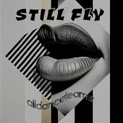 STILL FLY
