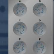 Using A DNA Microarray HD Animation