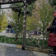 NAZENDE SEVGİLİM NEY COVER Ney Sesiyle Huzur