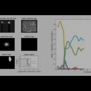 Lasso Learning Saliency From Eye Tracking Data