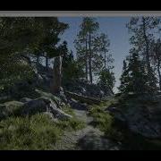 HDRP Grass Test 01