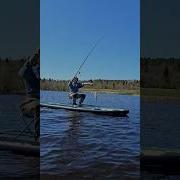 SUP для рыбалки Gladiator Fishing 12 6 Paddleboard Sup сапборд рыбалка
