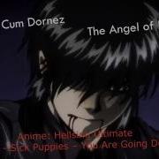 Hellsing Ultimate AMV Walter C Dornez Angel Of Death ᴴᴰ