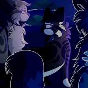 Warrior Cats I Saw You Part 11