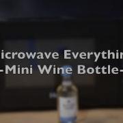 Microwave Everything Wine Bottle Explodes