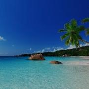 Edward Maya Vika Jigulina Stereo Love 1h Mix
