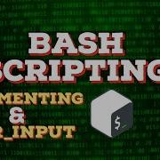 BASH Scripting Day2 COMMENTS USER INPUT