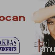 Sibel Pamuk Pirocan