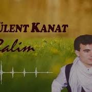 Kürtçe Şarkılar Serbülent Kanat Zalim Stranên Kurdî Kurdish Music