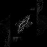 Zero Gravity Liquid Splash LiquiGen Simulation