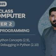 Информатика 11 класс Глава 2 Расширенные концепции Python 2 9 Тестирование и отладка в Pyt