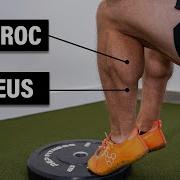 Calf Muscle Strain Injury Best Exercises For Rehab And How To Return To Running