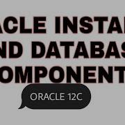 Oracle Instance And Database Components In Details