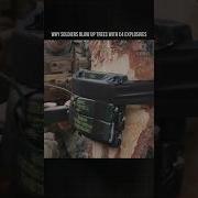 Why Soldiers Blow Up Trees With C4 Explosives