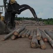 Volume And Weight Of Trees