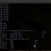 Process Parameters In Linux Ps Command In Linux