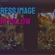 How To Compress Images Using Python And PIL 2024