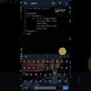 Beautiful Flower On Python By Using Turtle Graphics Shorts Codingpython Art Coding Programming