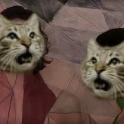 Gotye Somebody That Used To Meow