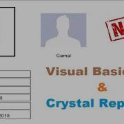Master VB NET Build Crystal Report Profiles With MS Access Database