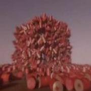 Crysis 8k Barrels Mass Physics