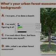 Understanding Our Urban Forest Assets Methods Of Tree Inventory And Urban Tree Canopy Analysis
