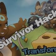 Survivor Hack Sefiwo Coder