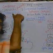 Complement System Part 5 MBL Pathway