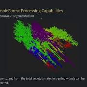 SimpleForest State Of The Art Theory And Praxis 2021