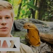 Robert Irwin Captures Worlds Most Venomous Snake For A Health Check Crikey It S The Irwins