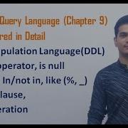 Structured Query Language SQL Class 12 Computer Science With Python Video 53