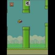 1 Hour NON Stop Flappy Bird High Score 984