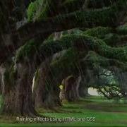 Rain Effect Using HTML And CSS