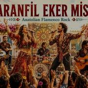 Karanfil Eker Misin Canan Oy Anatolian Flamenco Rock Cover