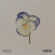 Nsee Frozen Lake Artlist