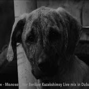 Дельфин Молоко Nur Berikov Kazakshimsy Live Mix In Dubai 2012