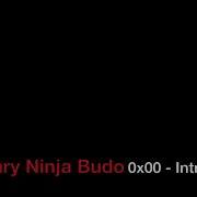 Binary Ninja Budo 0x00 Introduction