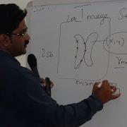 U Net Semantic Segmentation Made Easy A Beginner S Guide