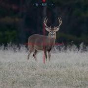 ATN X Sight 4K BuckHunter Smart Range Finder