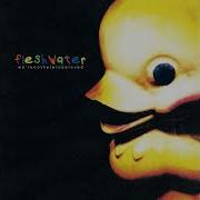 Fleshwater We Re Not Here To Be Loved Full Album 2022