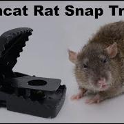 The Tomcat Rat Snap Trap A Bobcat Mousetrap Monday