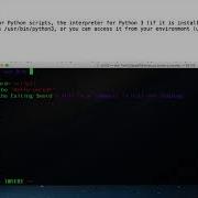 Making Shell Scripts Executable With Chmod